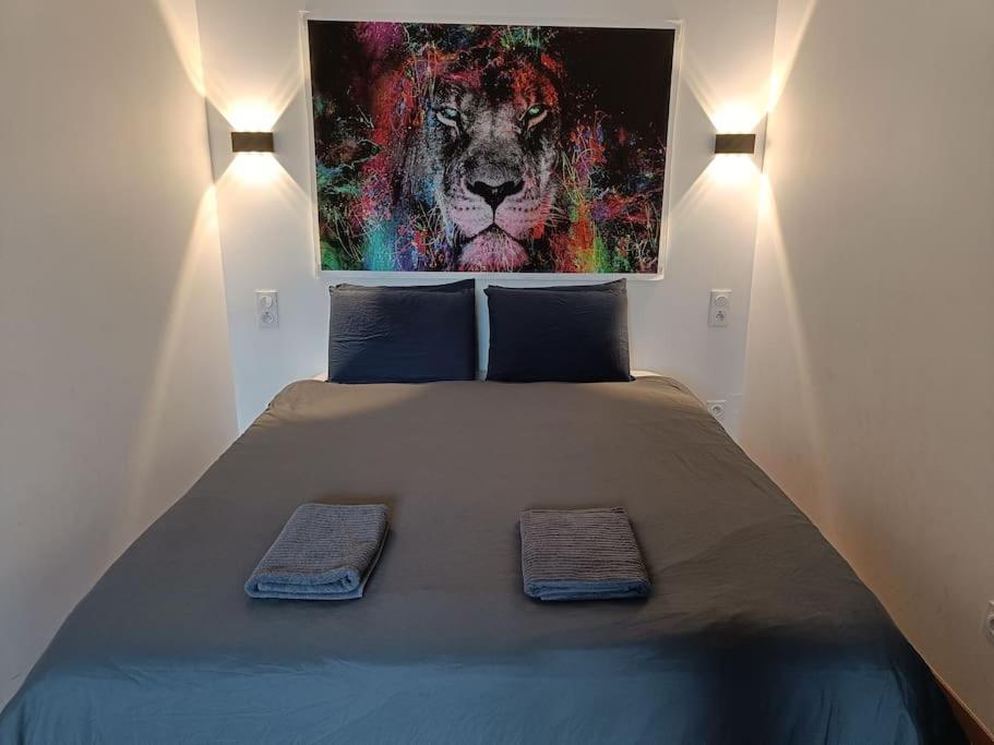 Appartement Confort Equipe Au Coeur De Beziers Exterior photo